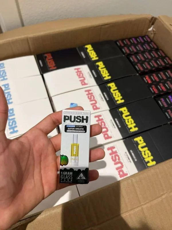 Push Disposable - Image 3